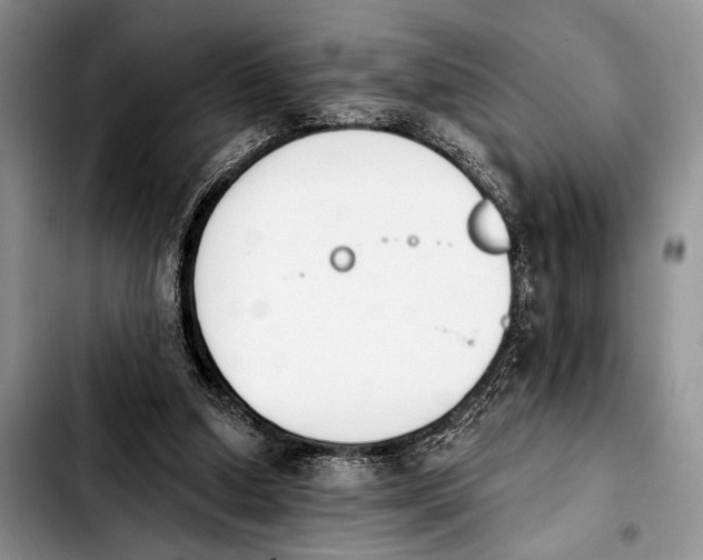 X0000103930250200810101400