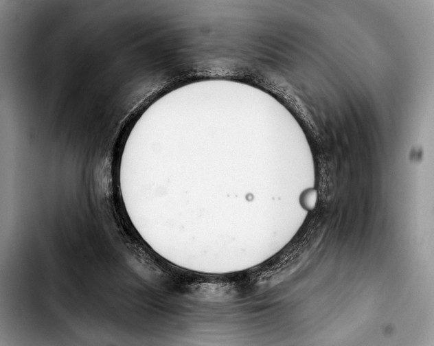 X0000103930251200810101400