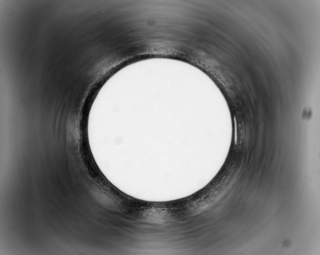 X0000103930252200810101400