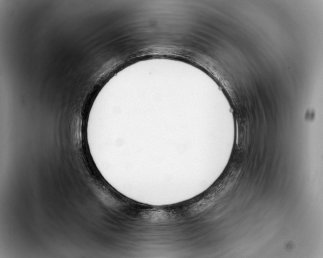 X0000103930253200810101400