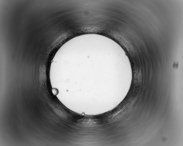 X0000103930254200810101400