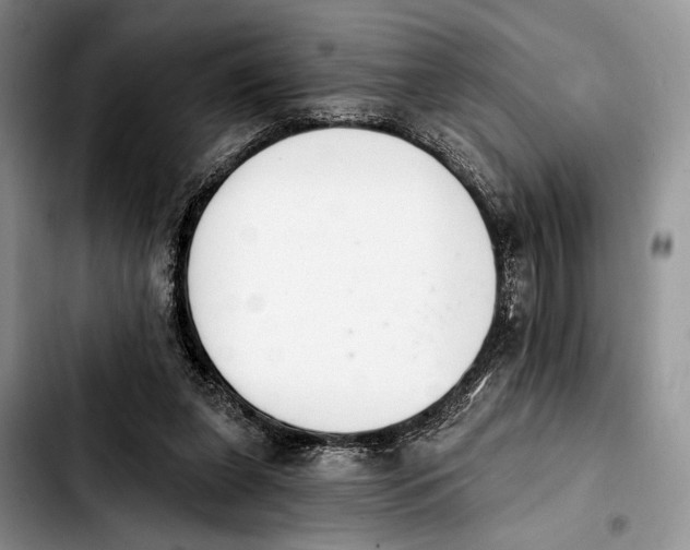 X0000103930255200810101400