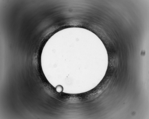 X0000103930256200810101400