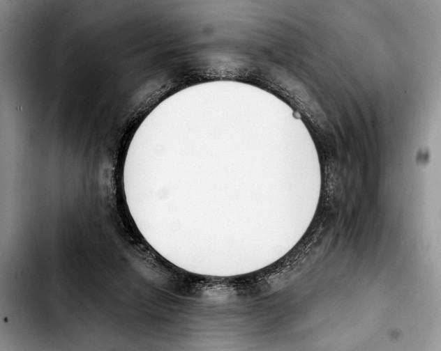 X0000103930258200810101400