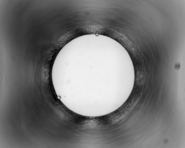 X0000103930259200810101400