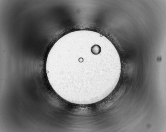 X0000103930260200810101400