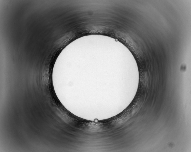 X0000103930261200810101400