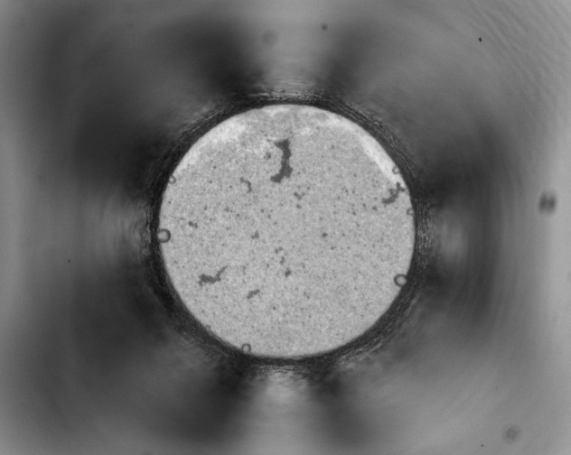 X0000103930264200810101400