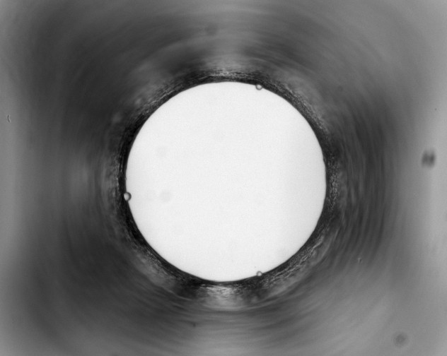 X0000103930265200810101400