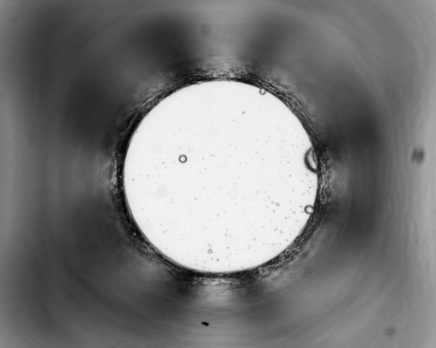 X0000103930268200810101400