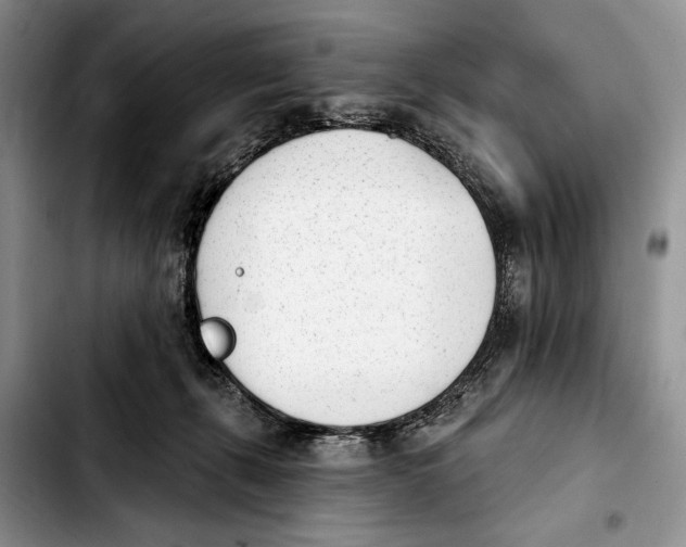 X0000103930271200810101400