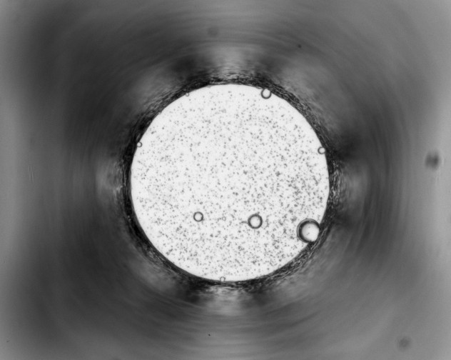 X0000103930272200810101400