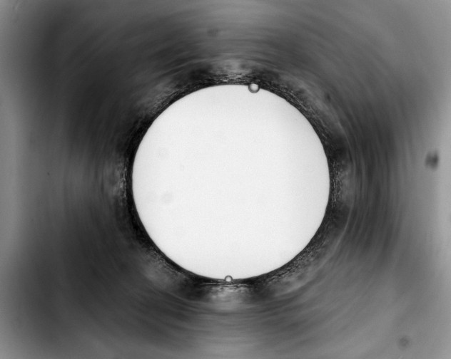 X0000103930274200810101400