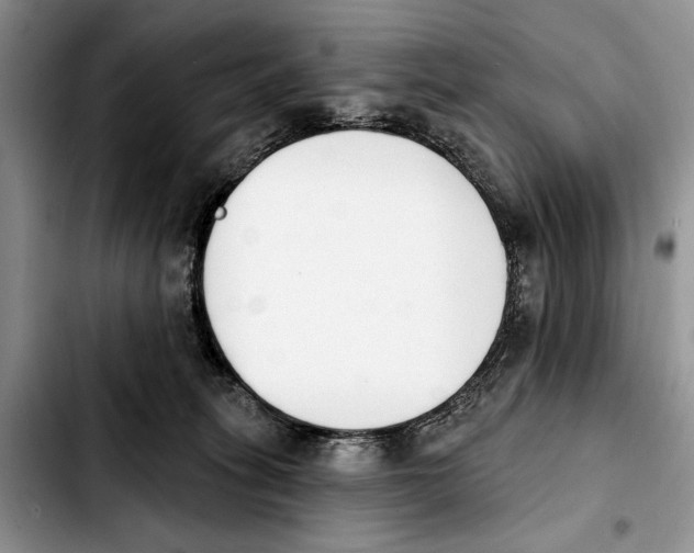 X0000103930275200810101400