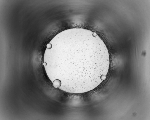 X0000103930276200810101400