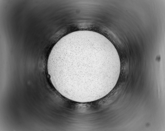 X0000103930277200810101400