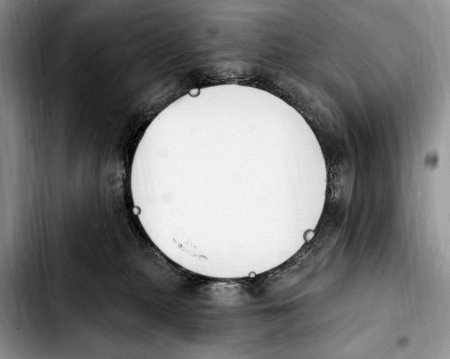 X0000103930279200810101400