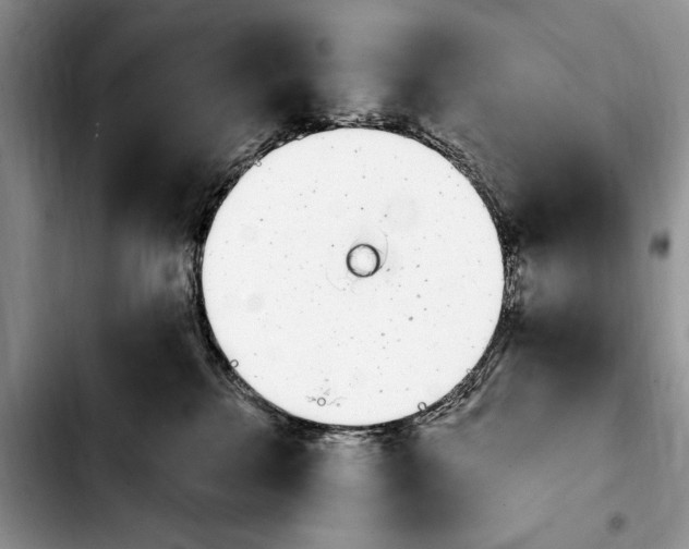 X0000103930280200810101400