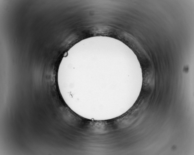 X0000103930282200810101400