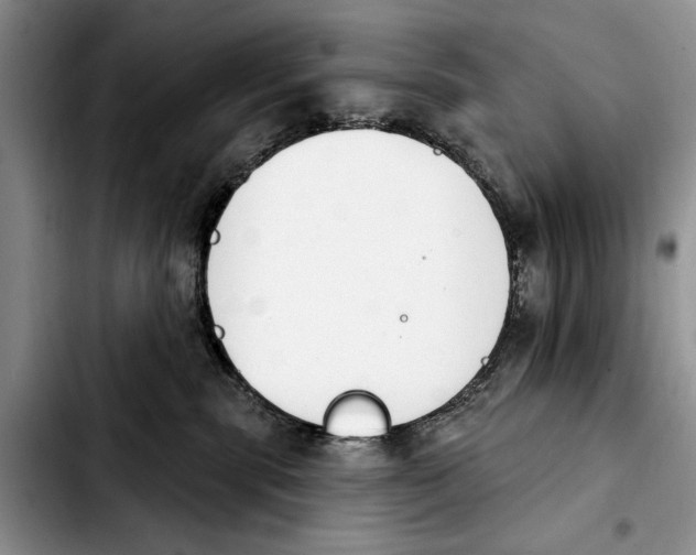 X0000103930283200810101400