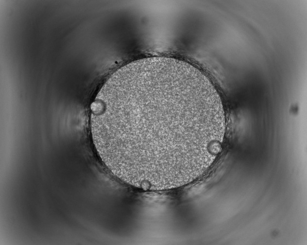 X0000103930284200810101400