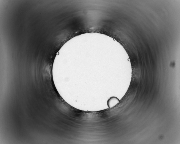 X0000103930286200810101400