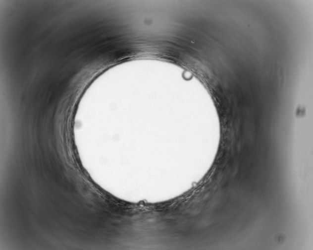 X0000103930289200810101359