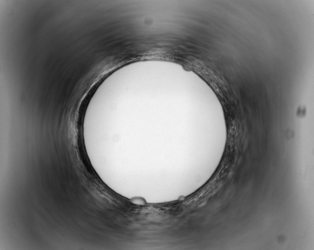 X0000103930290200810101359