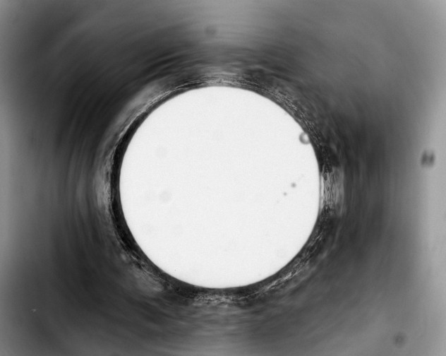 X0000103930291200810101359