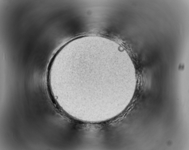 X0000103930292200810101359