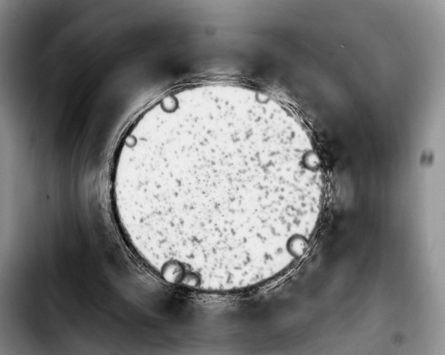 X0000103930293200810101359