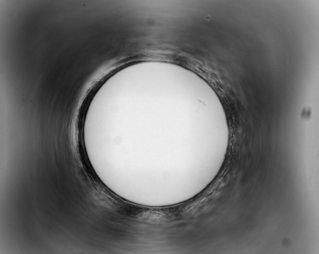 X0000103930294200810101359