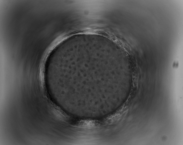 X0000103930295200810101359