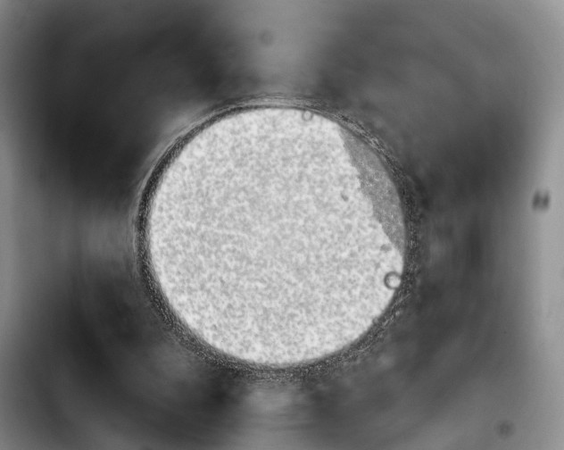 X0000103930296200810101359