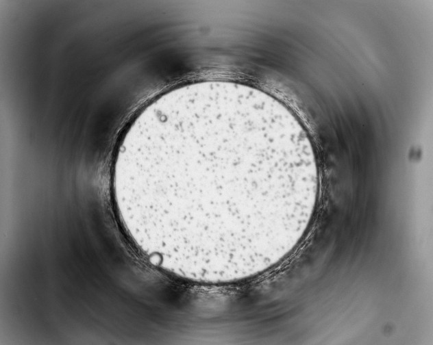 X0000103930297200810101359