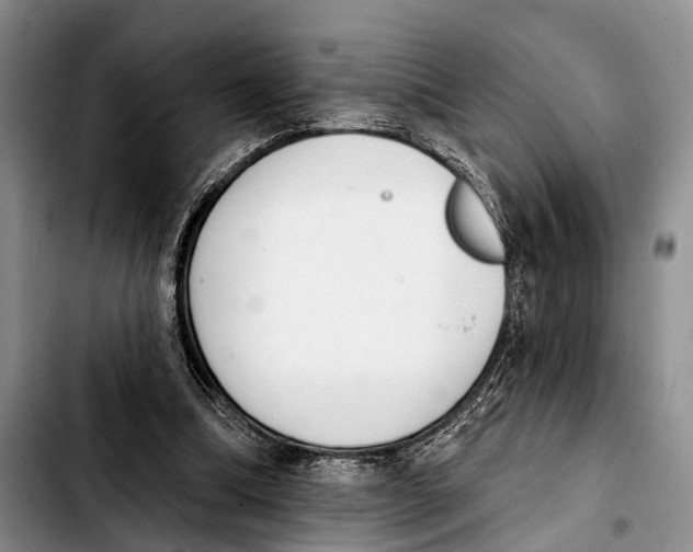 X0000103930298200810101359