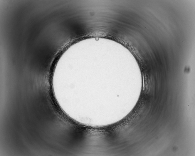 X0000103930300200810101359