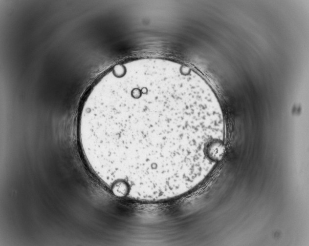 X0000103930301200810101359