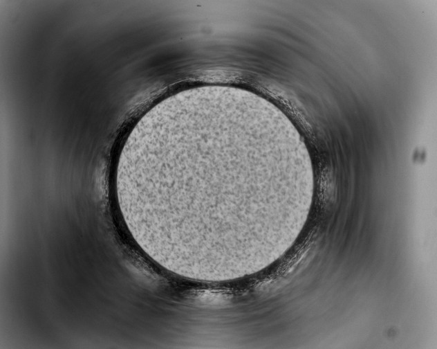 X0000103930303200810101359