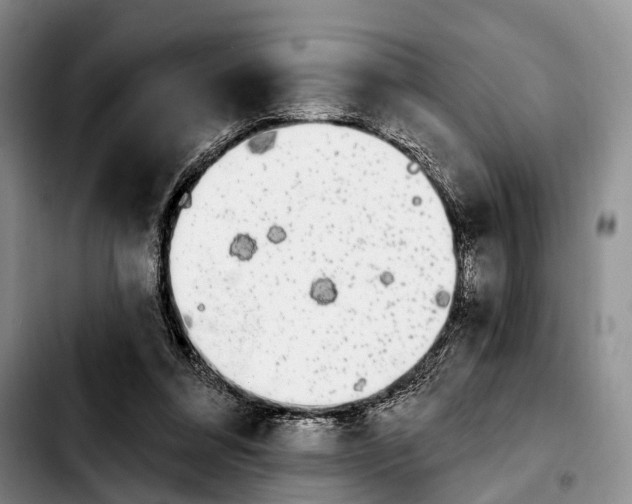 X0000103930304200810101359