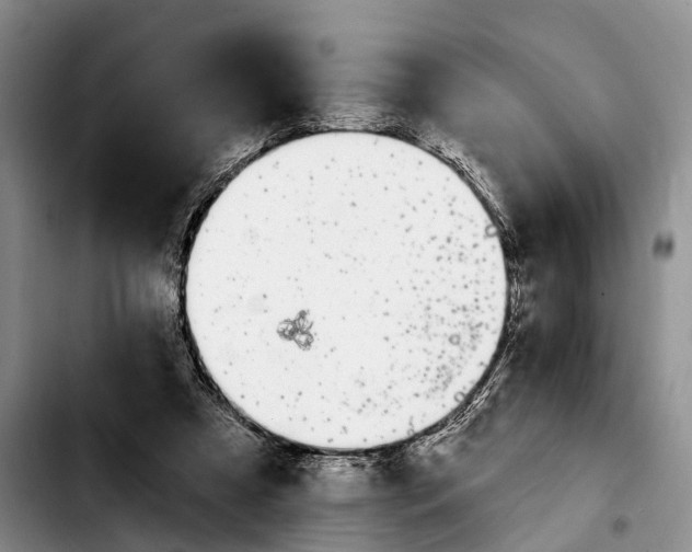 X0000103930305200810101359