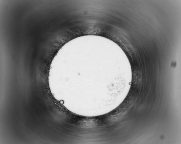 X0000103930307200810101359