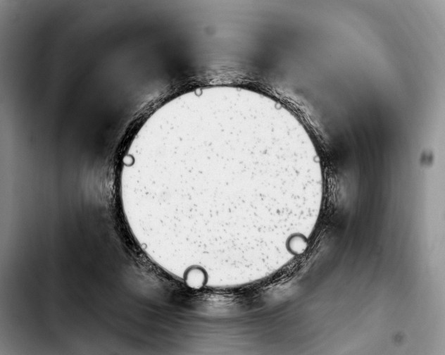 X0000103930308200810101359