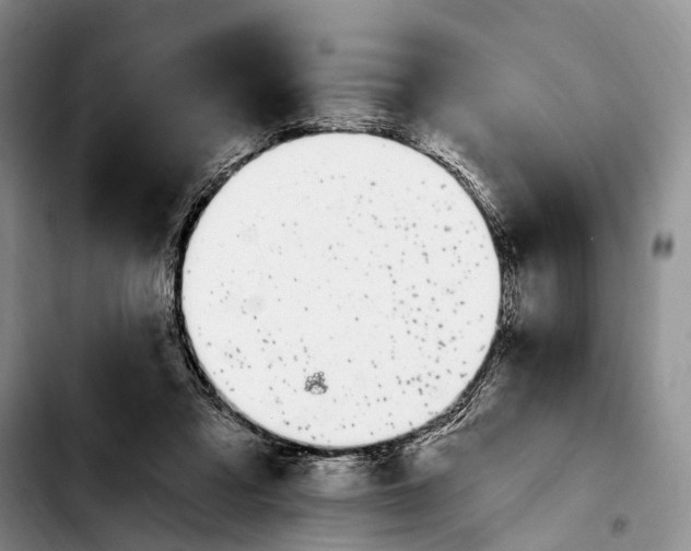 X0000103930309200810101359