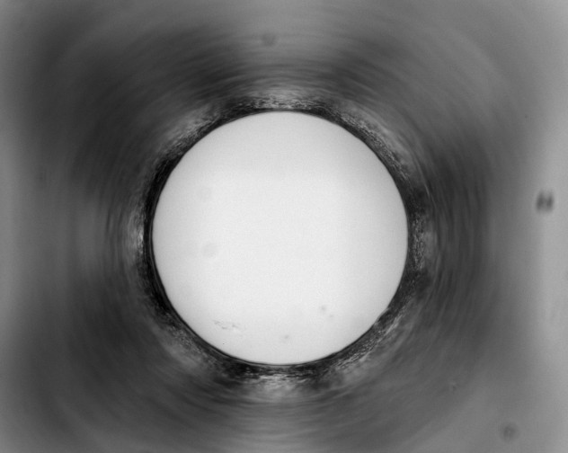 X0000103930310200810101359