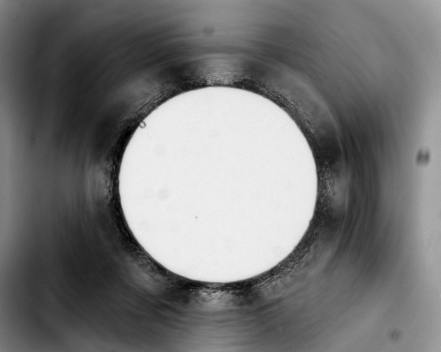 X0000103930311200810101359