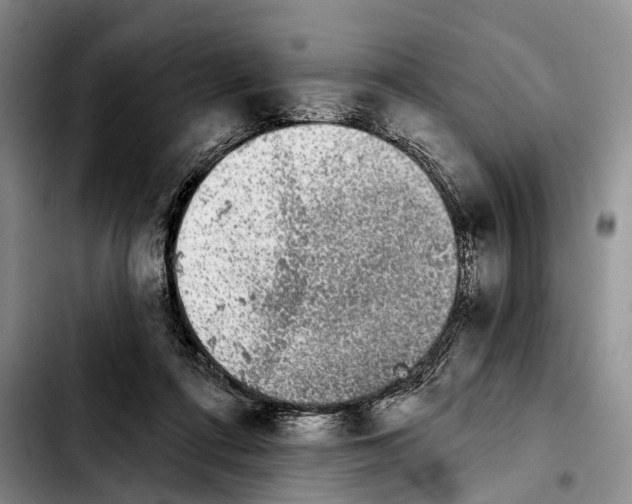 X0000103930312200810101359