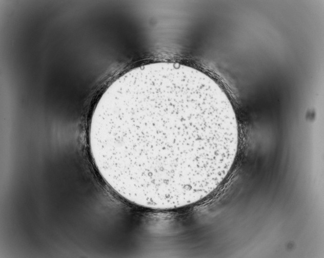 X0000103930313200810101359