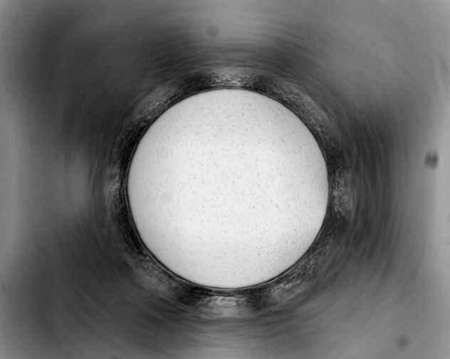 X0000103930314200810101359