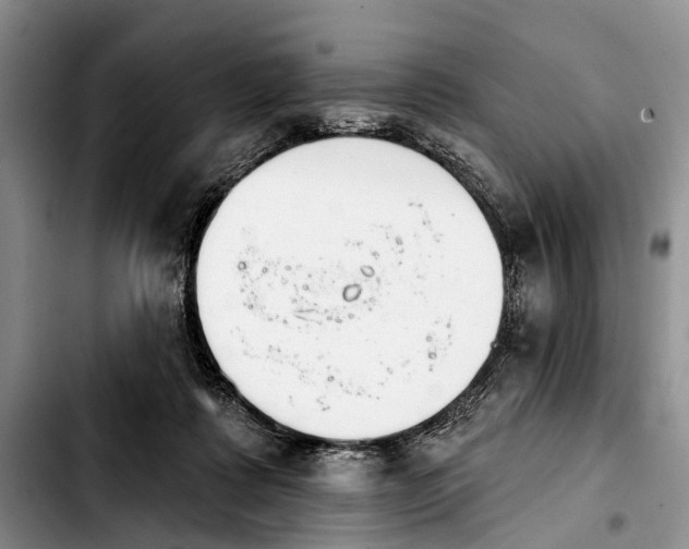 X0000103930315200810101359